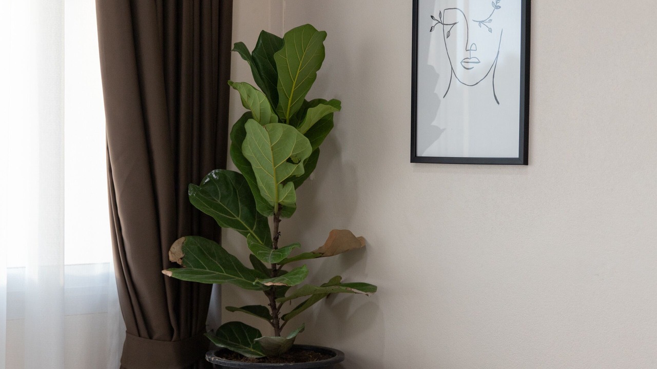 Photo of Bedroom in Khuan Khanun