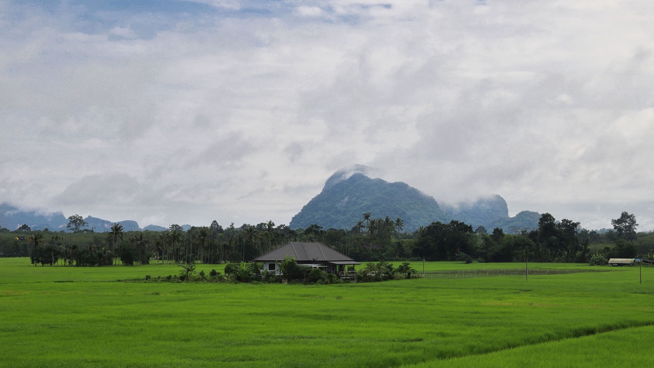 Photo of Others in Khuan Khanun