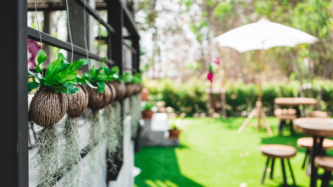 Photo of Outdoor in Chang Phueak