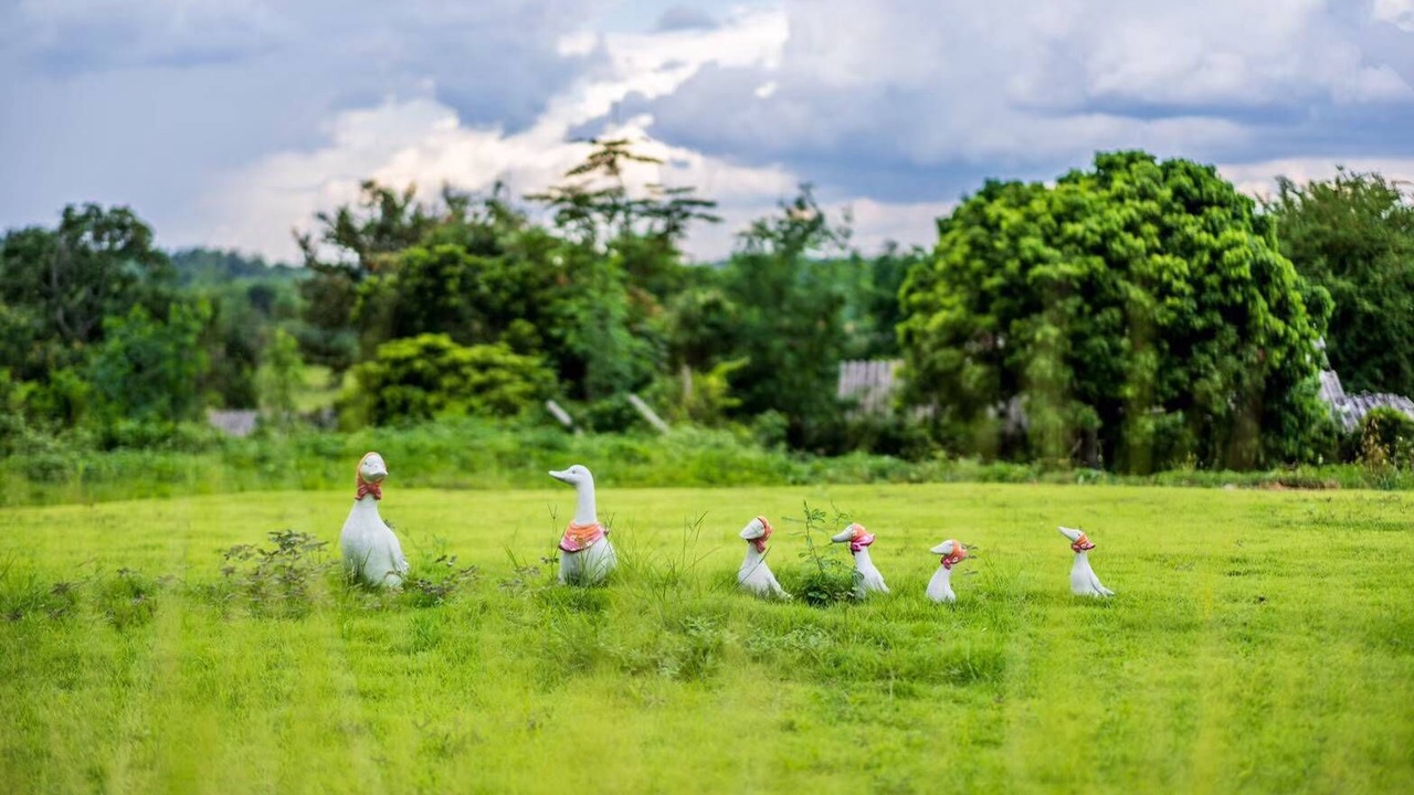 Photo of Others in Mae Rim