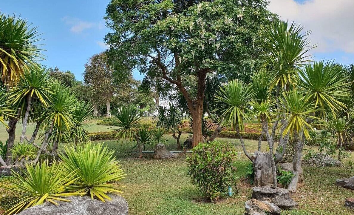 Photo of Outdoor in Pak Chong