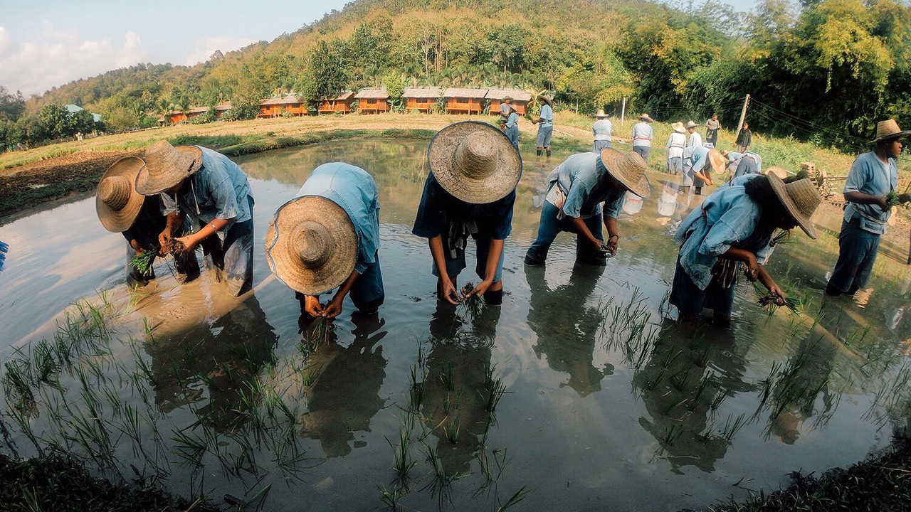 Photo of Others in Mae Wang