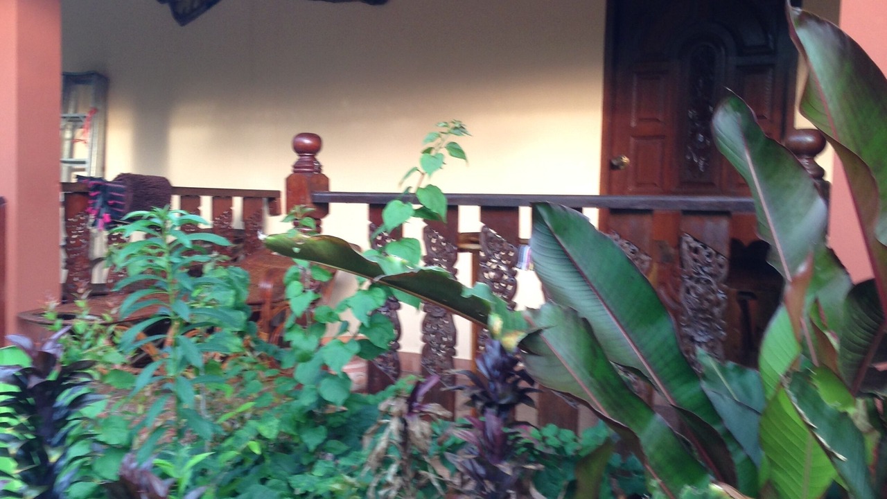 Photo of Outdoor in Rayong