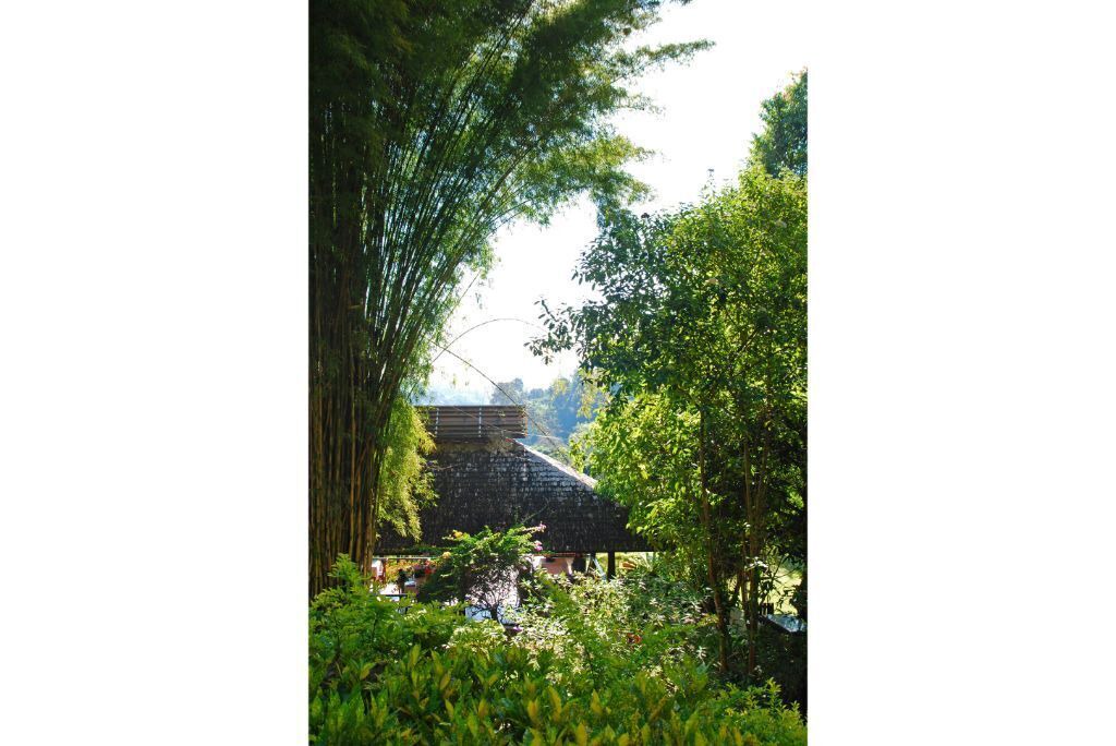 Photo of Outdoor in Hang Dong