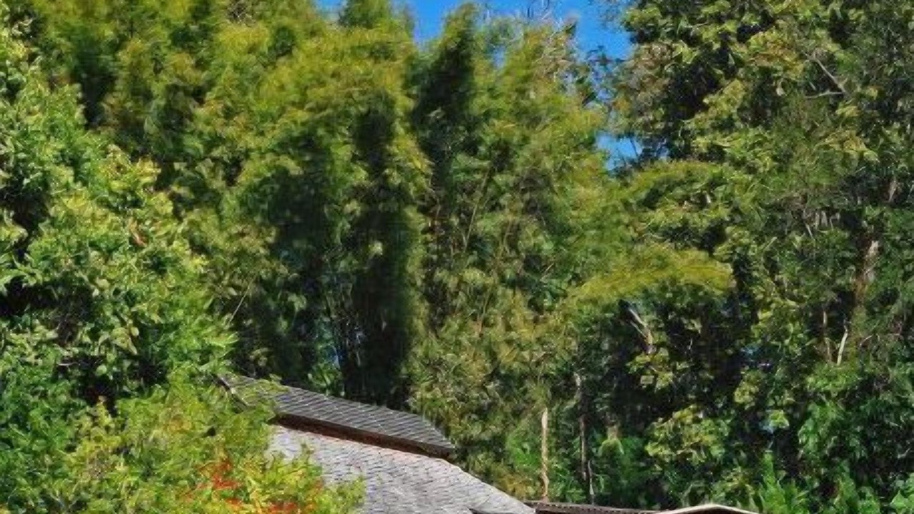 Photo of Outdoor in Hang Dong