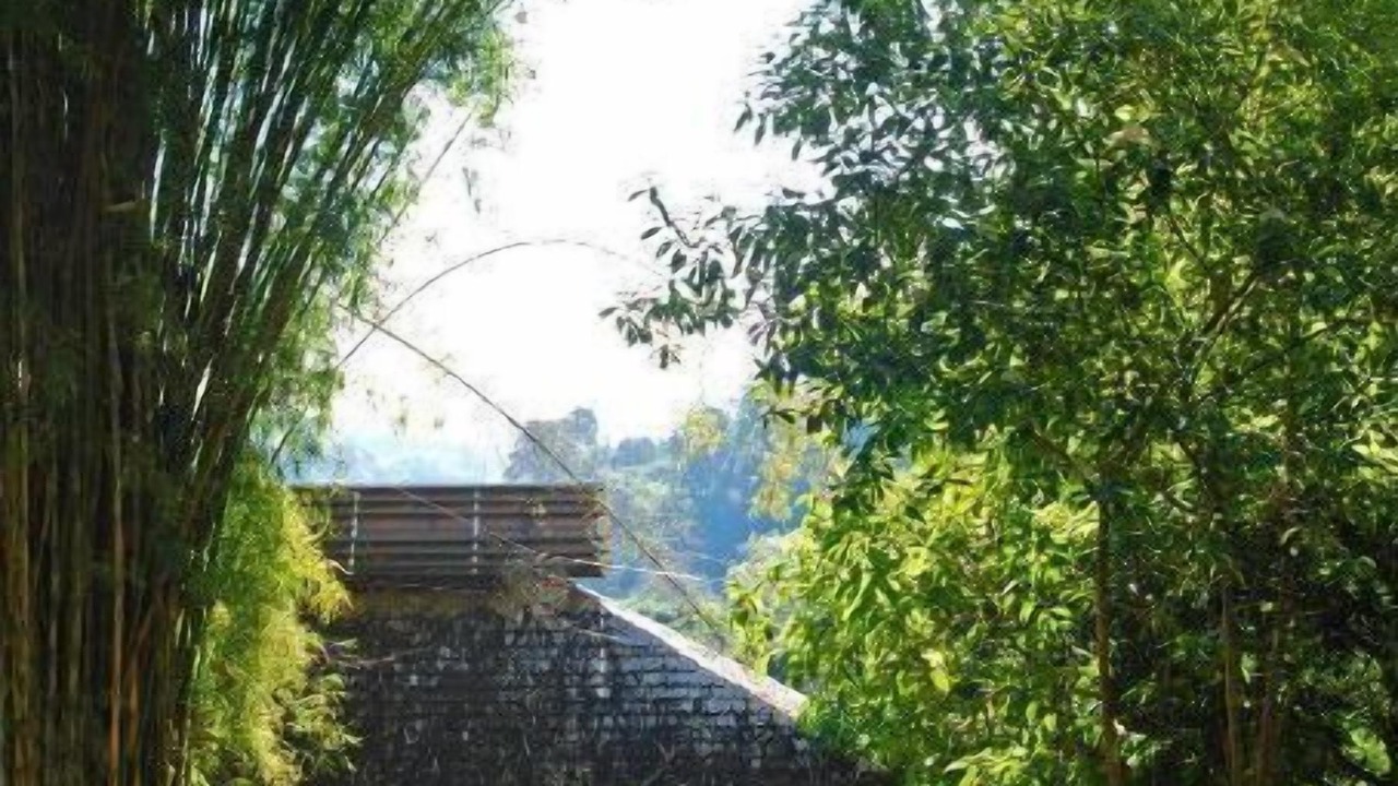 Photo of Outdoor in Hang Dong