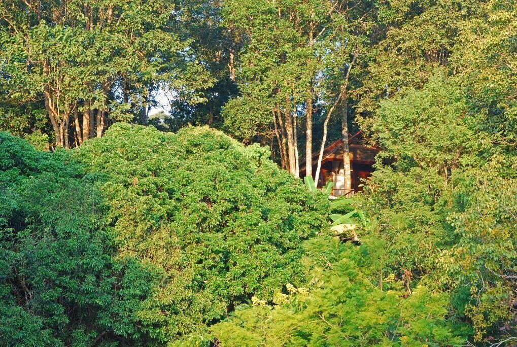 Photo of Outdoor in Hang Dong