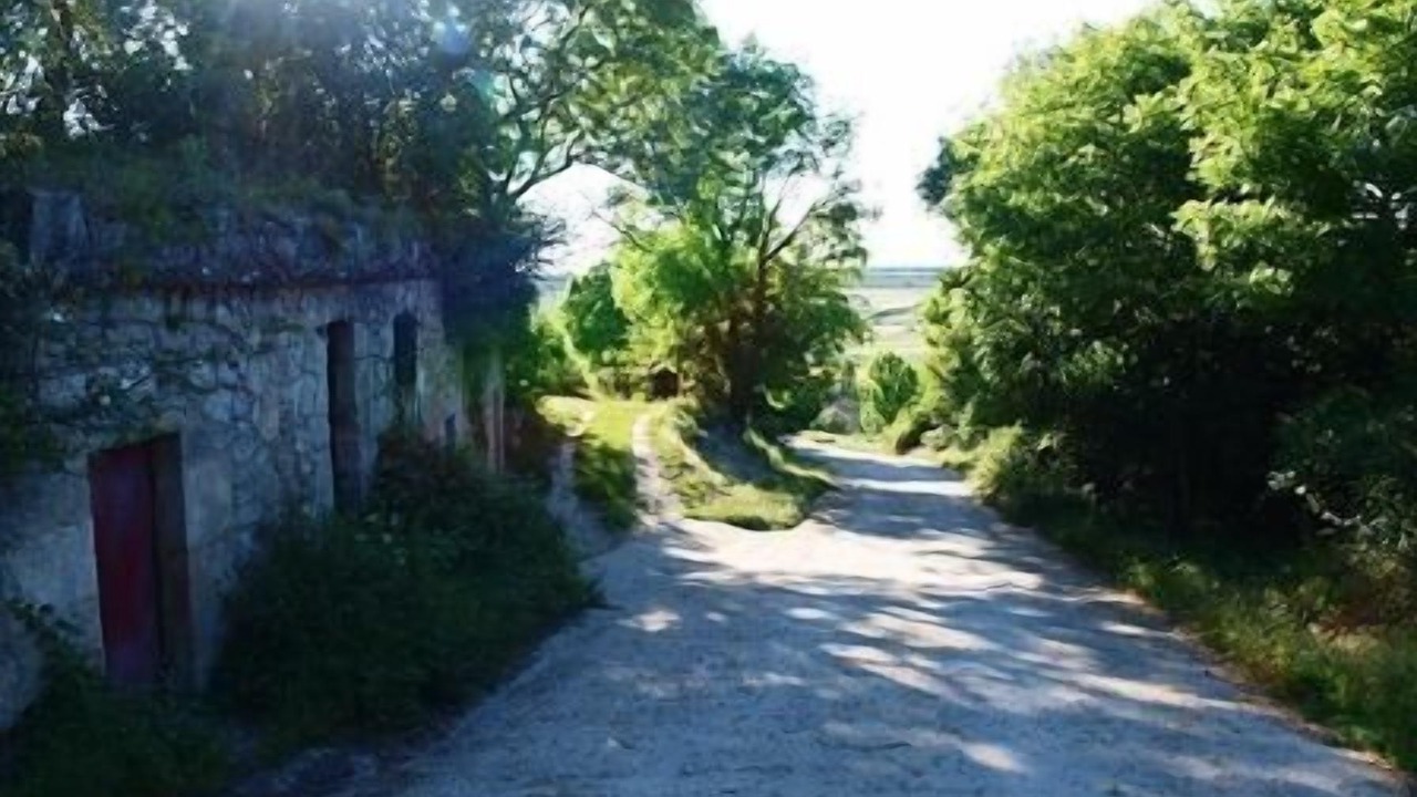 Photo of Outdoor in Citores del Paramo