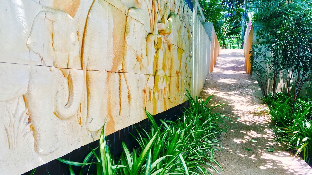 Photo of Outdoor in Ban Saiyuan