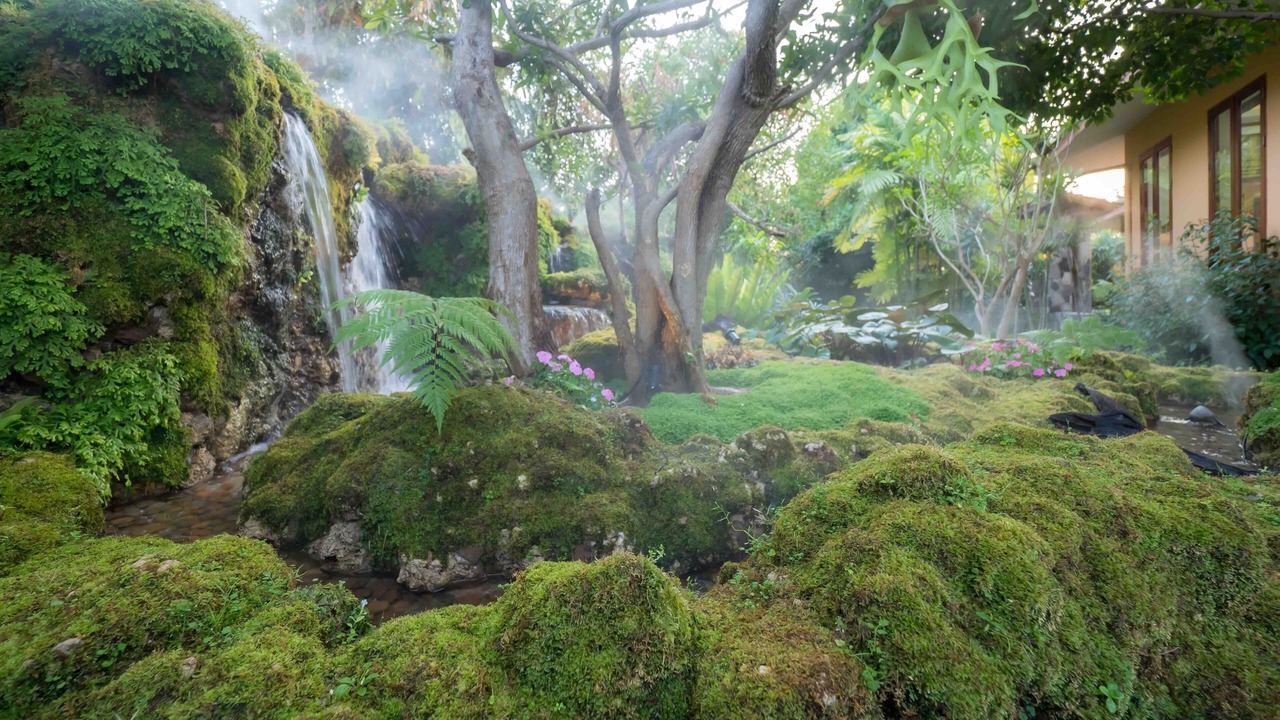 Photo of Outdoor in Hang Dong