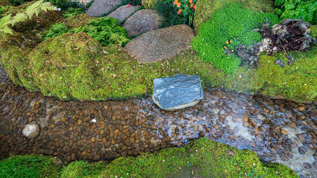 Photo of Outdoor in Hang Dong