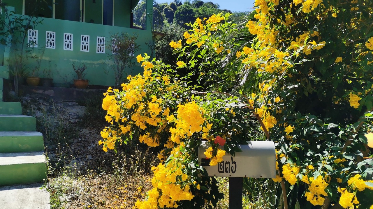 Photo of Outdoor in Ko Lanta