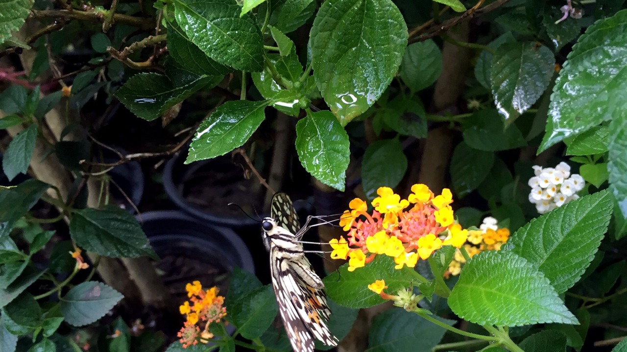 Photo of Outdoor in Chiang Mai