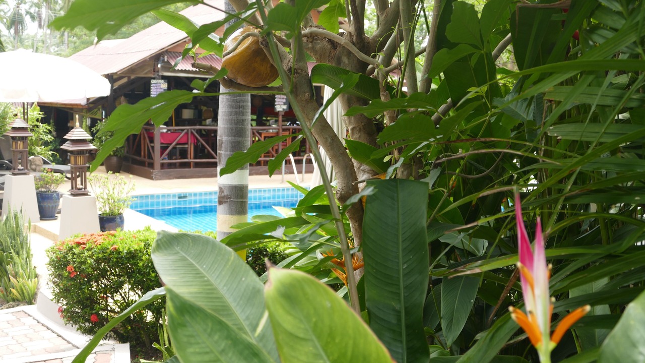Photo of Outdoor in Lamai