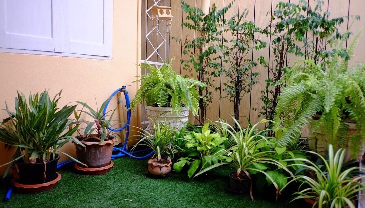 Photo of Outdoor in Bangkok Yai
