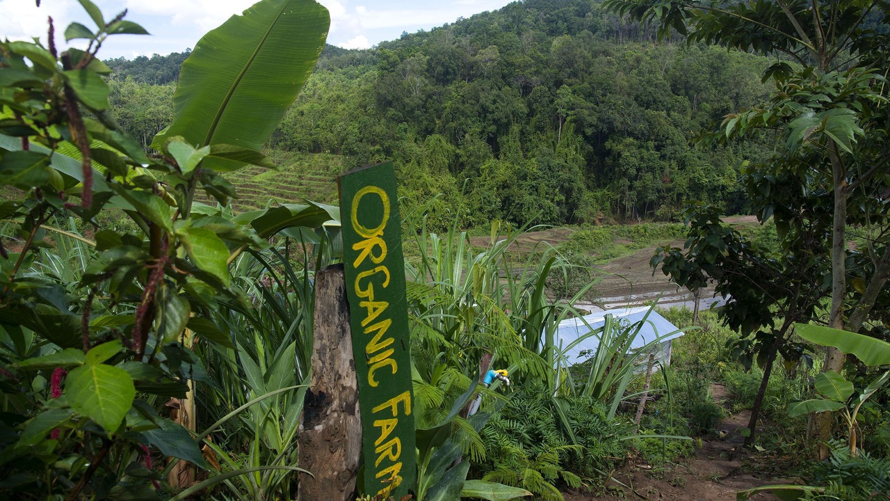 Photo of Outdoor in Mae Wang