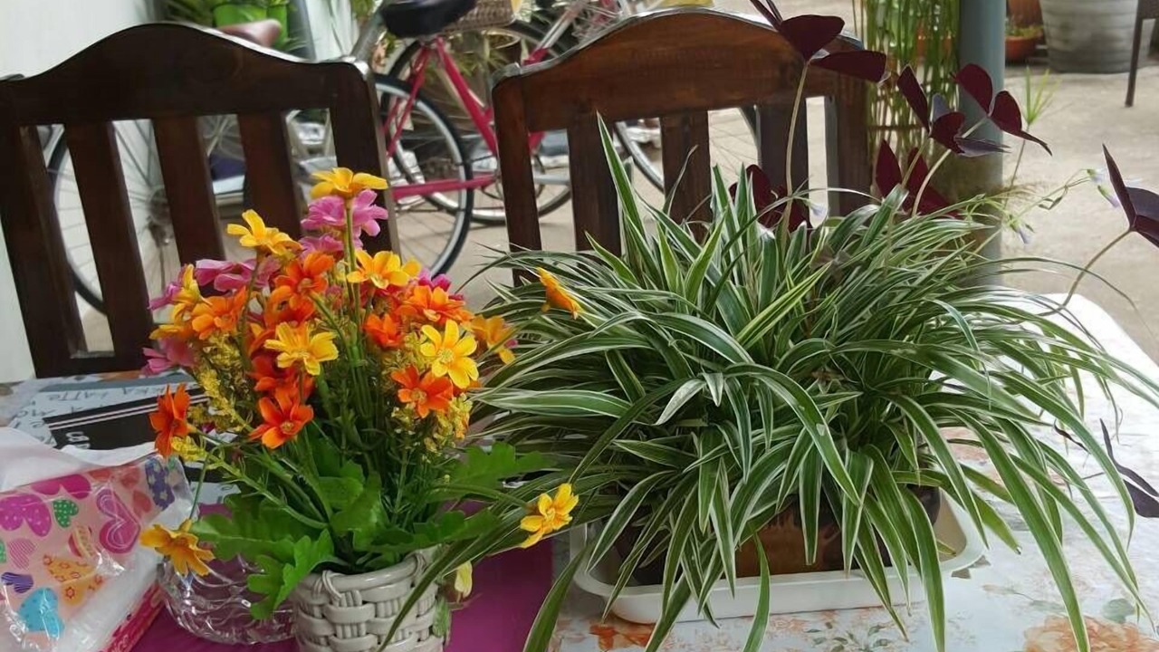Photo of Outdoor in Pa Daet