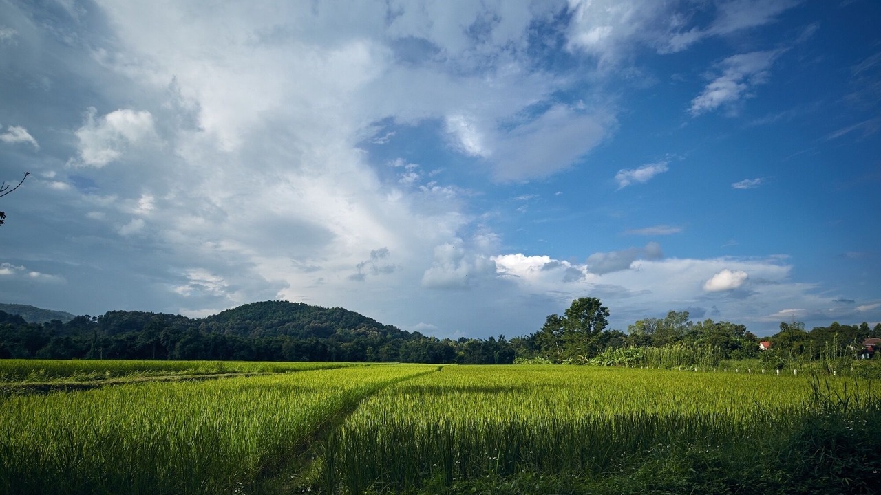 Photo of Others in Nang Lae