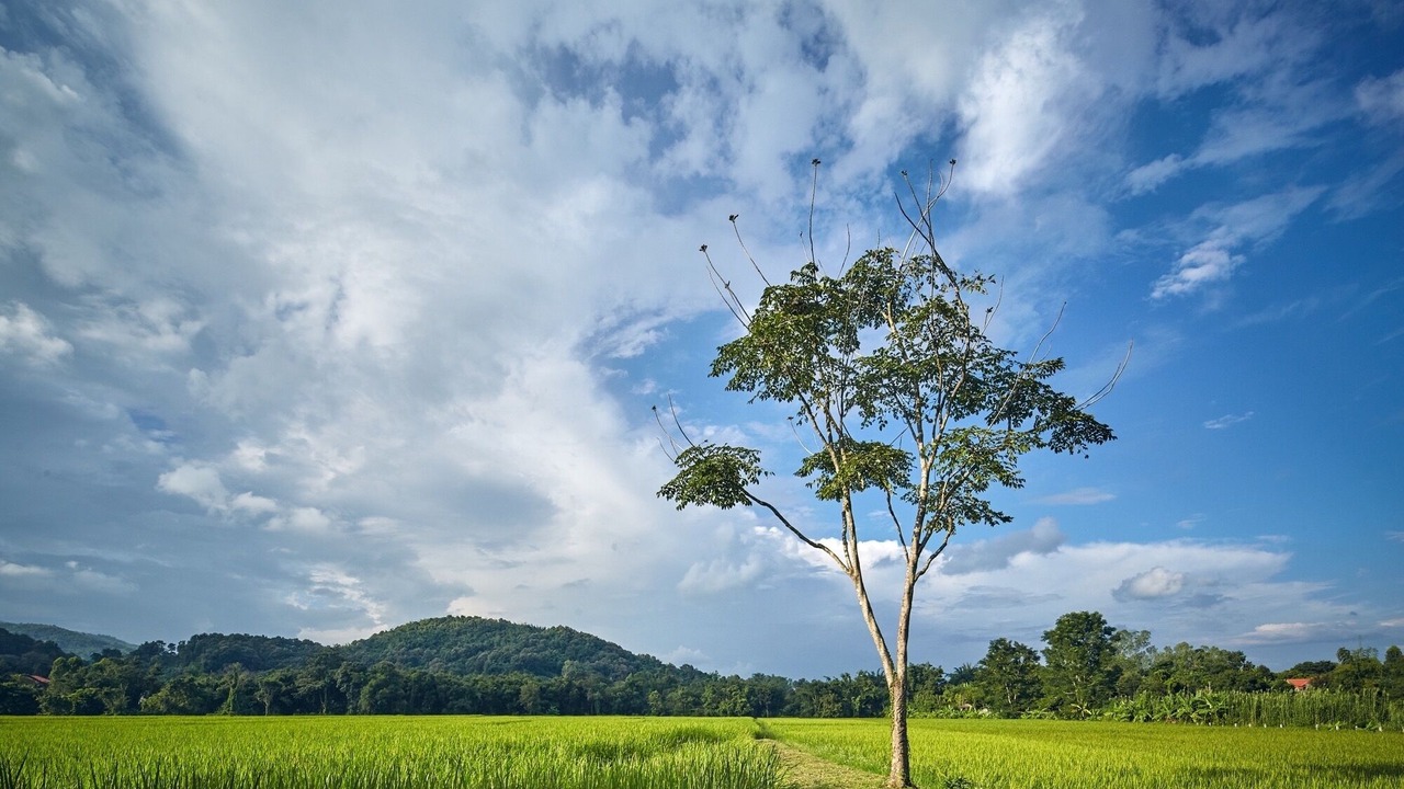 Photo of Others in Nang Lae