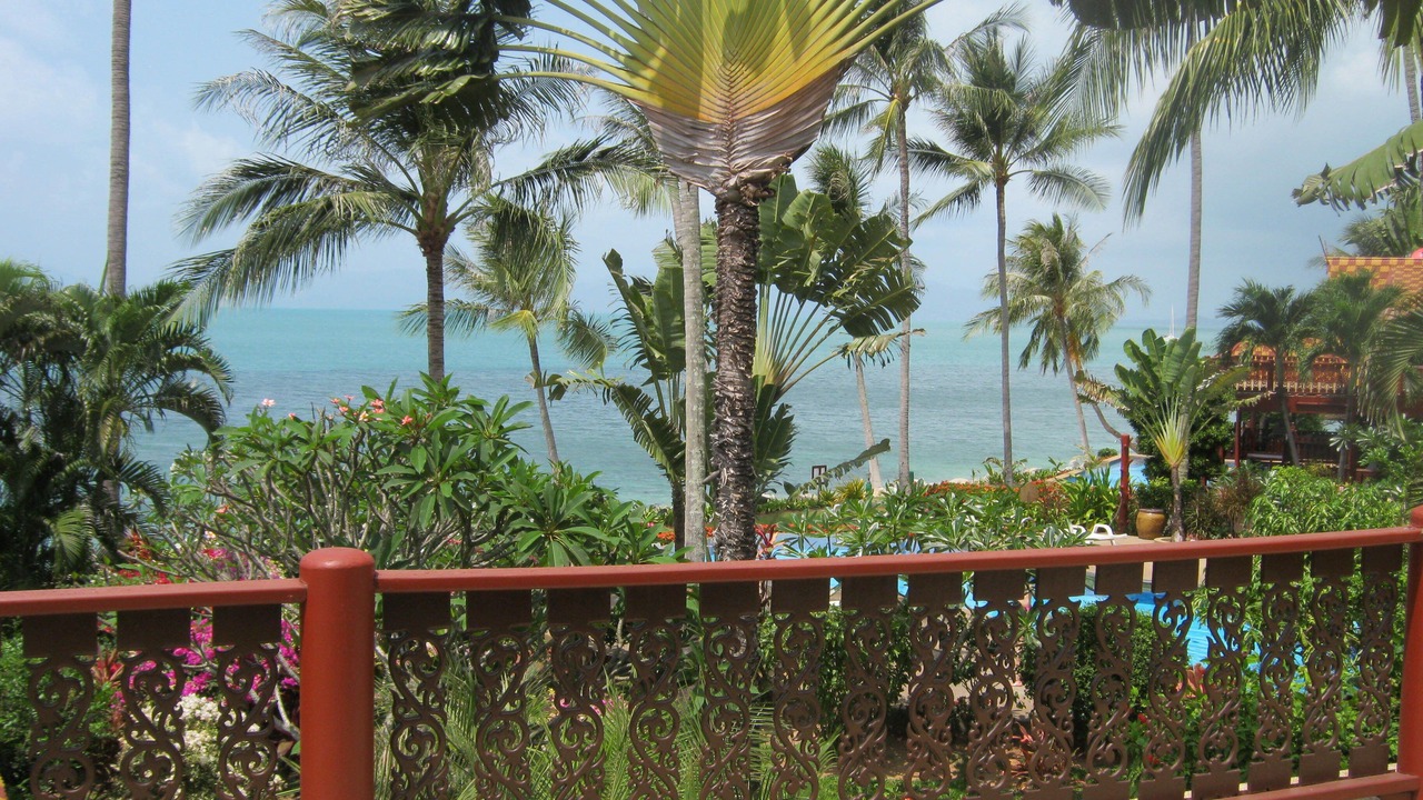 Photo of Others in Bang Po