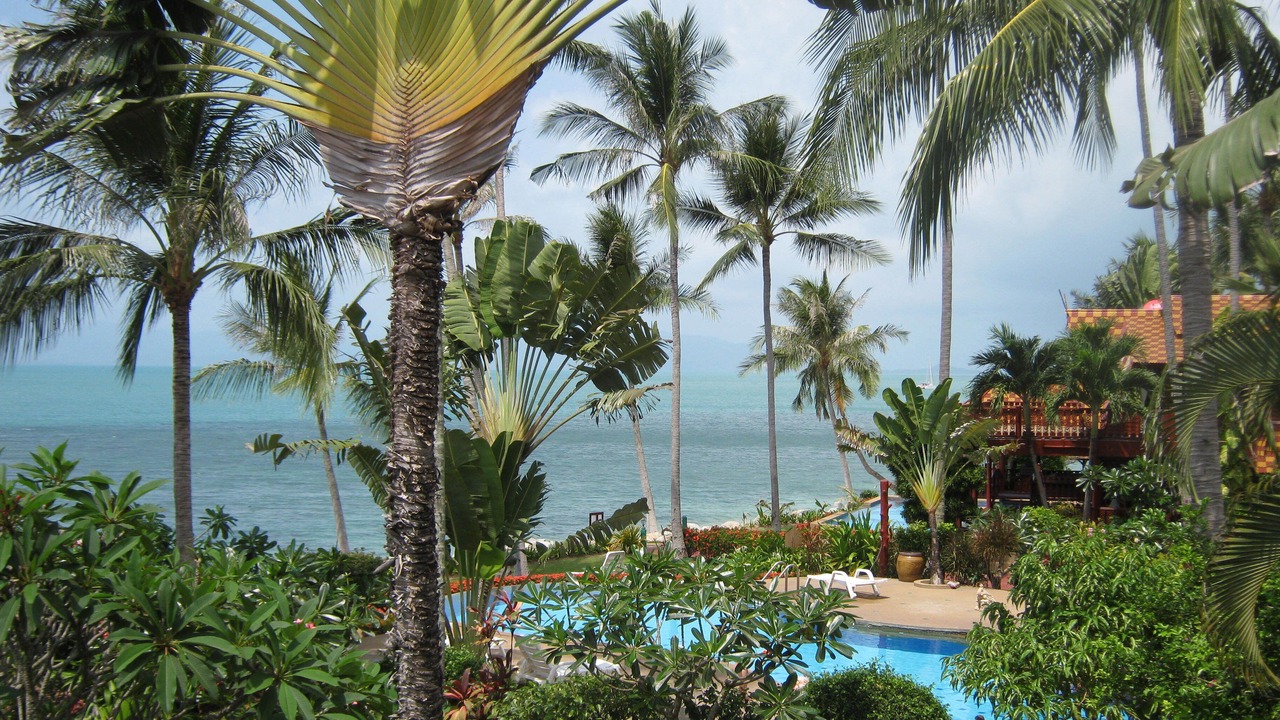 Photo of Outdoor in Bang Po