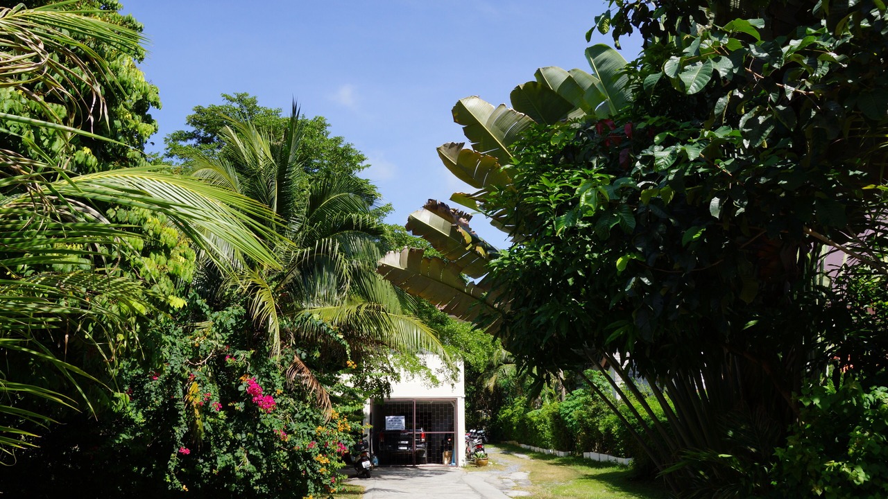 Photo of Outdoor in Wok Tum