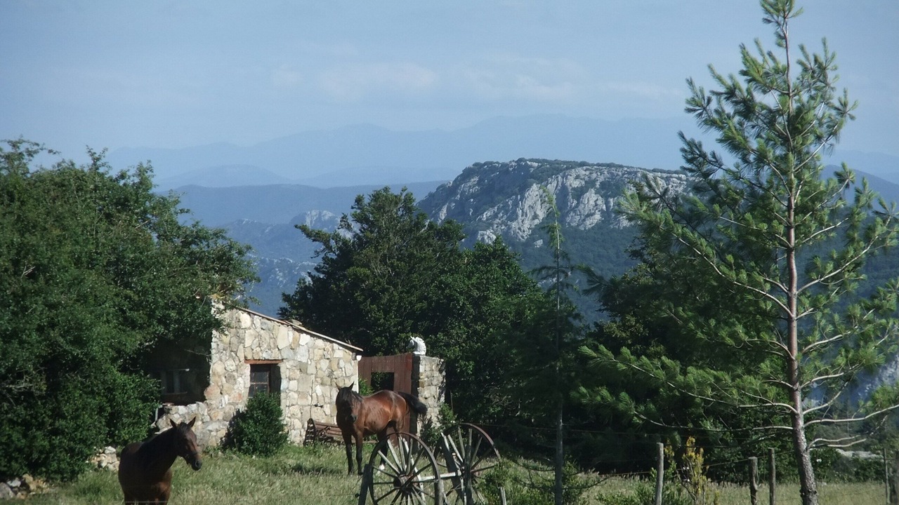Photo of Outdoor in Cubieres-sur-Cinoble