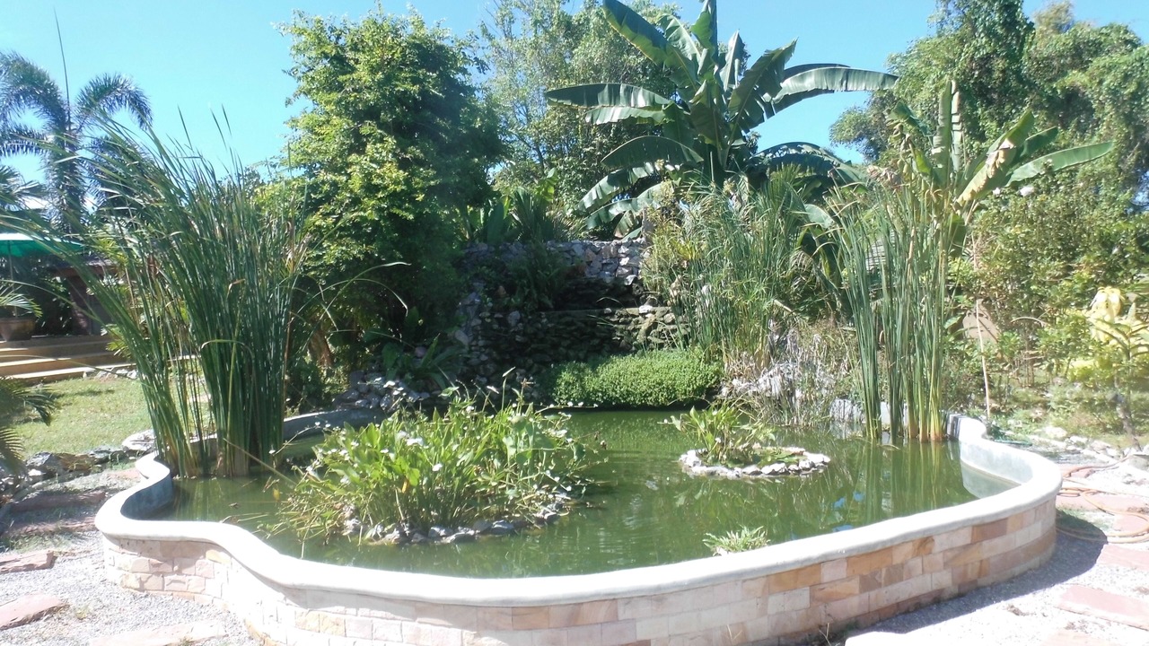 Photo of Outdoor in Ban Phe