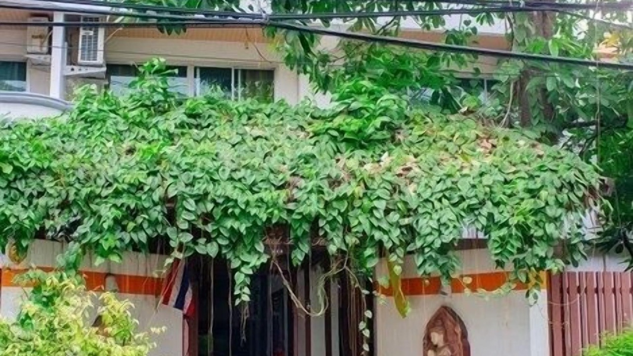 Photo of Others in Phra Khanong Nuea