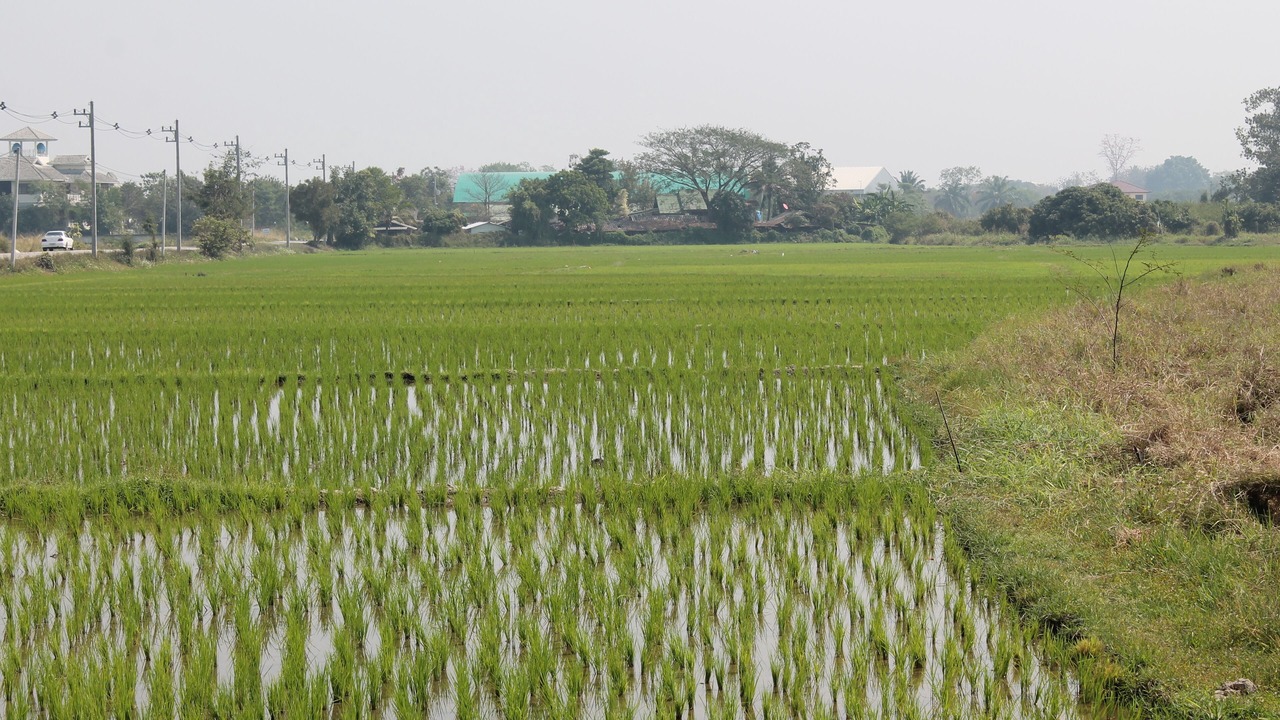 Photo of Outdoor in Hang Dong