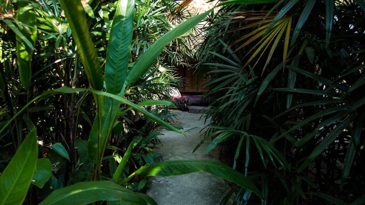 Photo of Outdoor in Chiang Mai