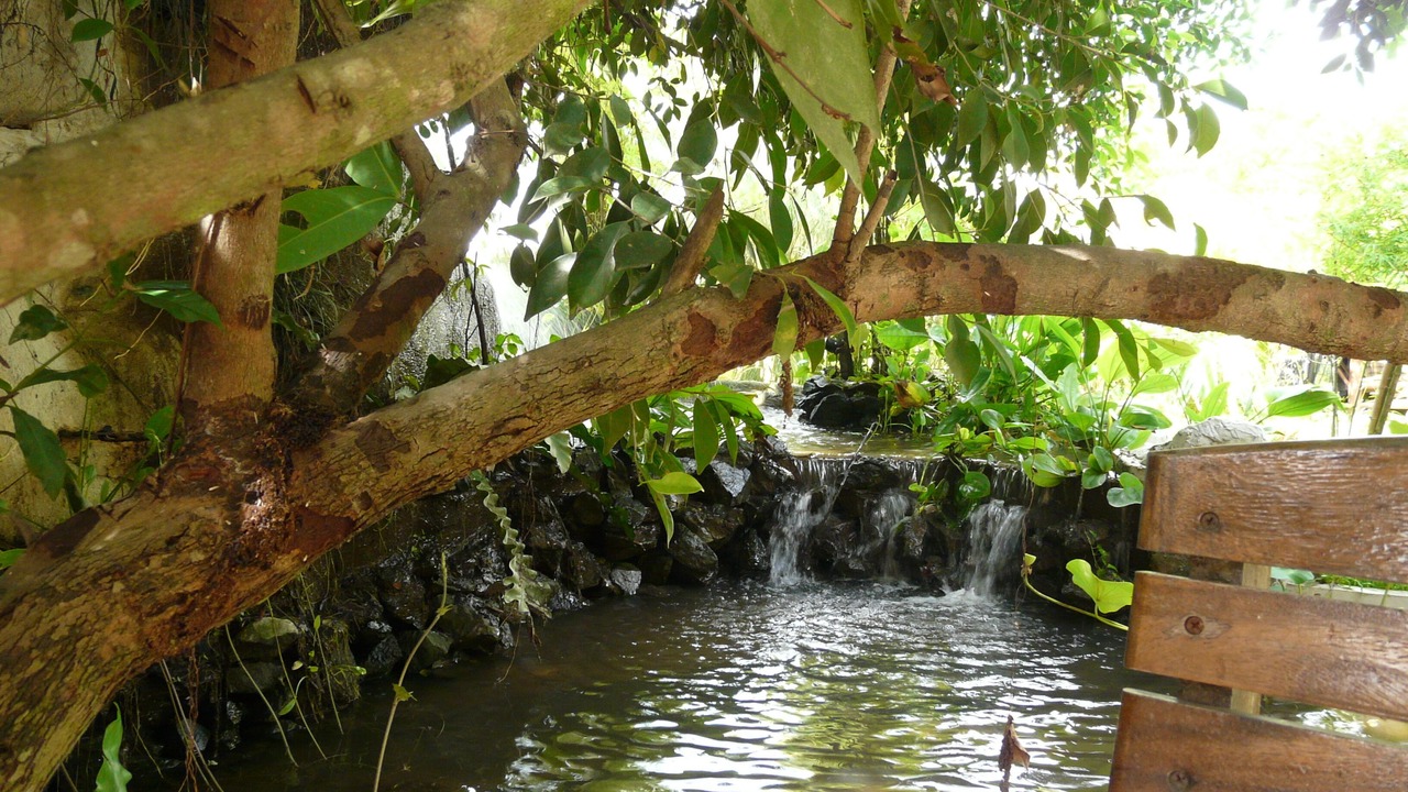 Photo of Outdoor in San Pu Loei