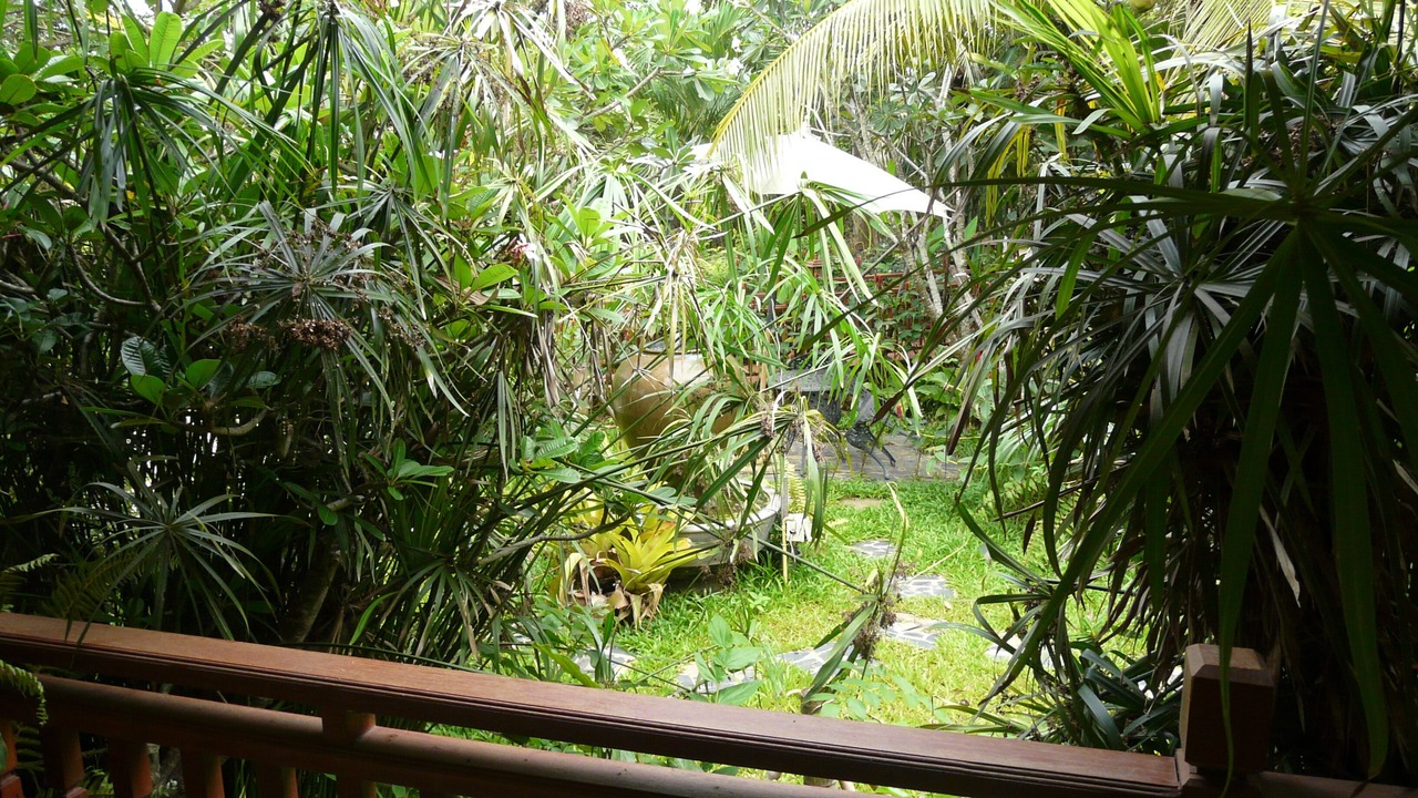 Photo of Outdoor in San Pu Loei