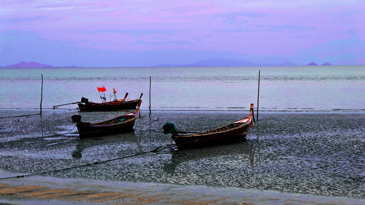 Photo of Others in Palian