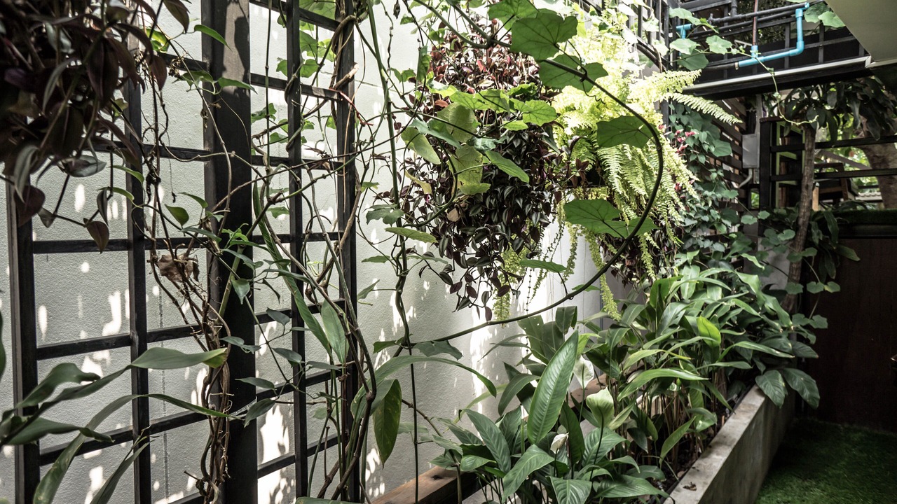 Photo of Outdoor in Nimman