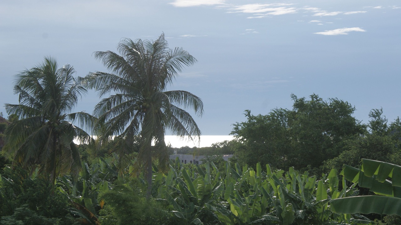 Photo of Outdoor in Khao Tao