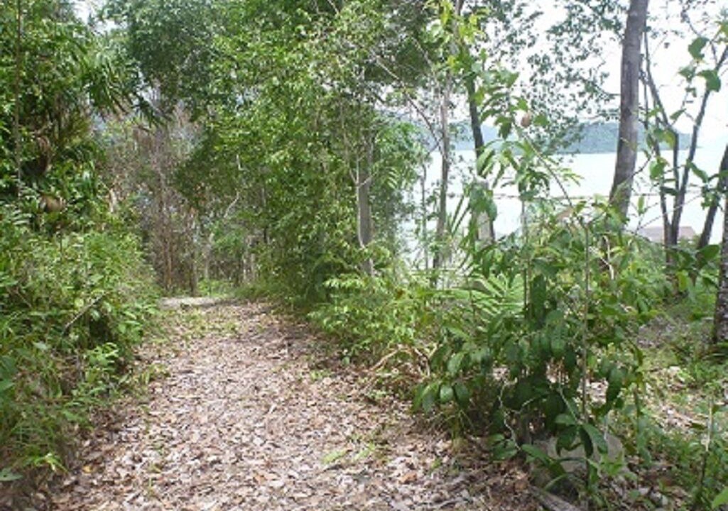 Photo of Outdoor in Salak Kok