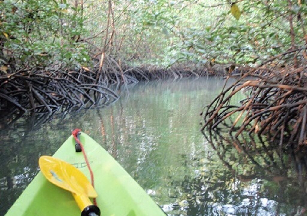 Photo of Outdoor in Salak Kok