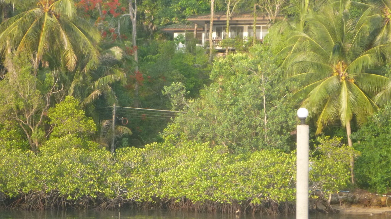 Photo of Outdoor in Salak Kok