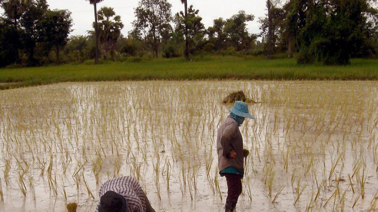 Photo of Others in Um Chan