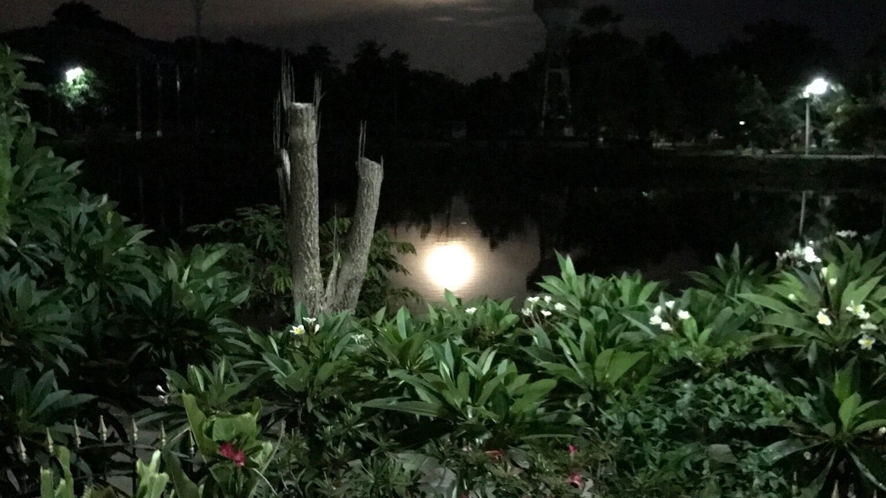 Photo of Outdoor in Wichian Buri
