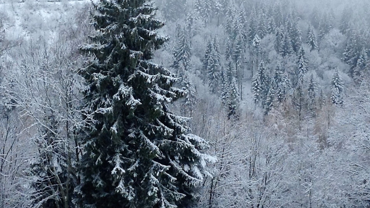 Photo of Others in Gerardmer