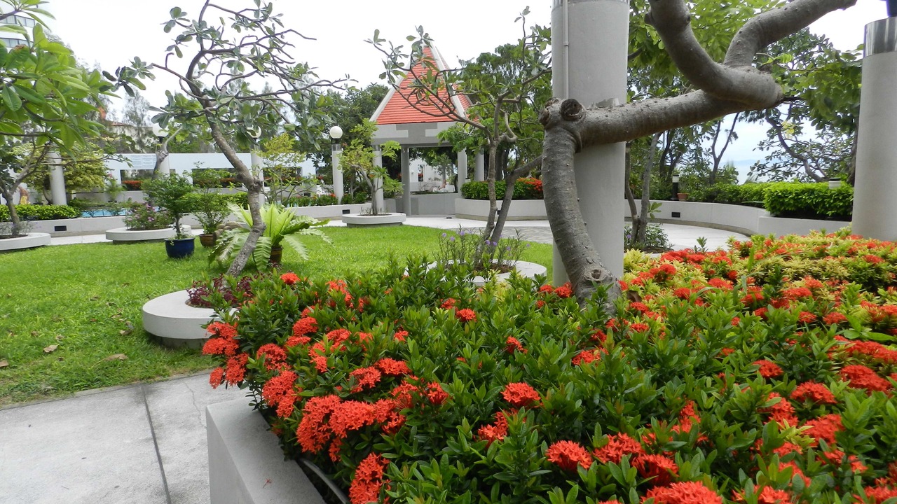 Photo of Others in Jomtien