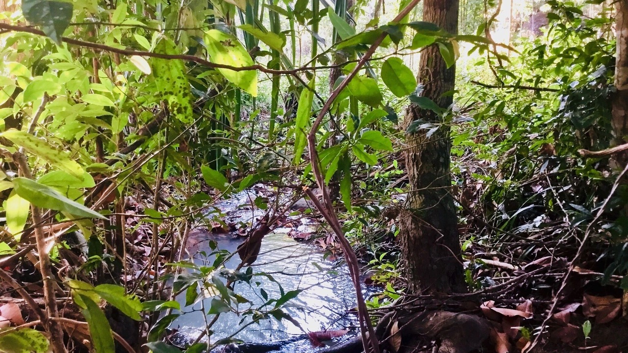 Photo of Outdoor in Ko Pha-ngan