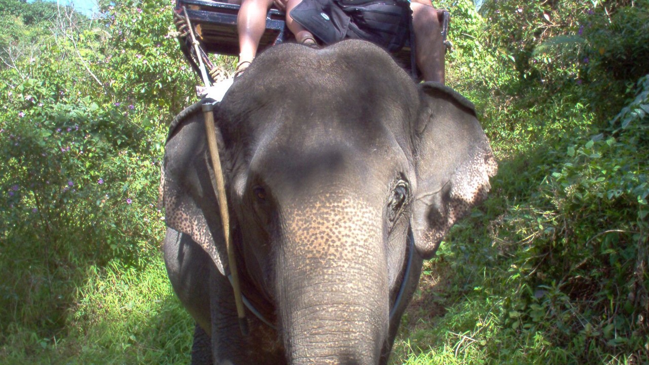 Photo of Others in Bang Sare