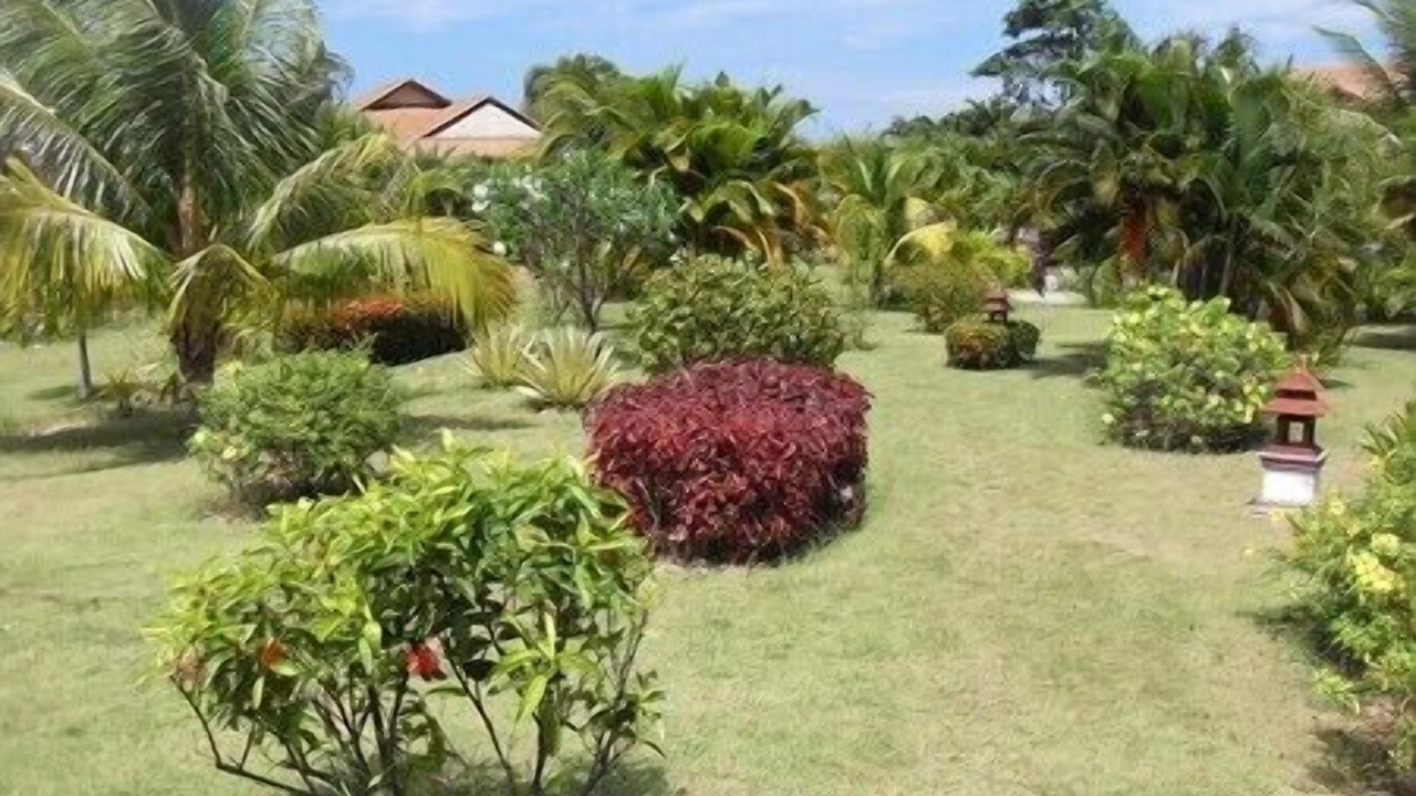 Photo of Outdoor in Wang Pong