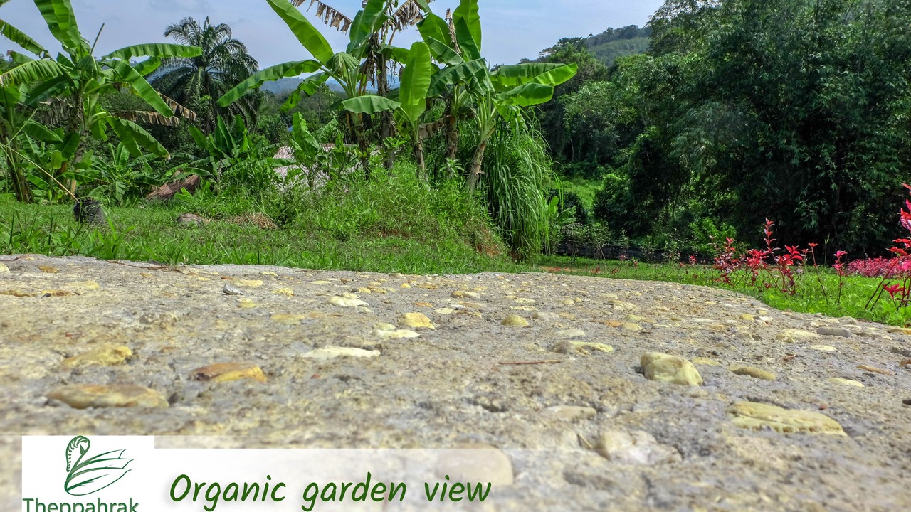 Photo of Outdoor in Khuekkhak