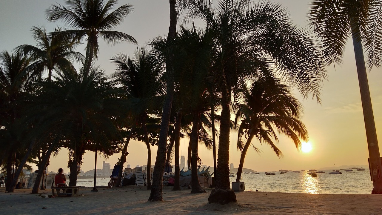 Photo of Others in Pattaya Bay