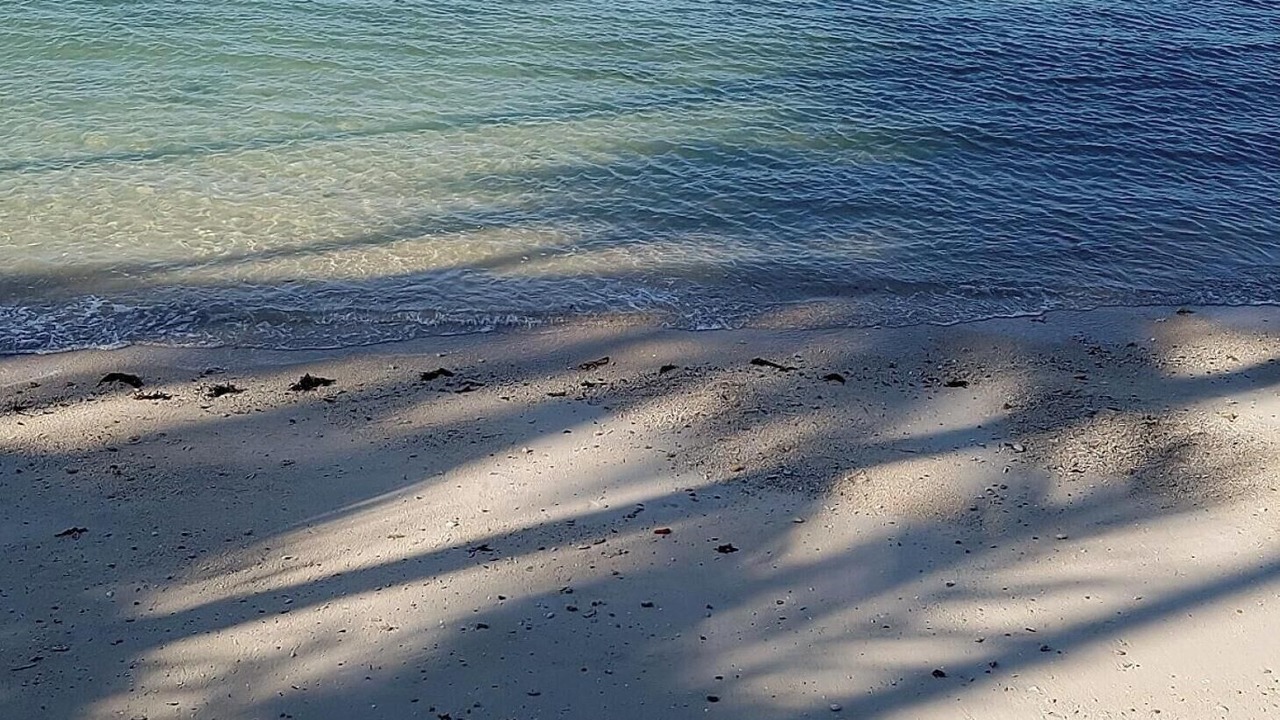 Photo of Others in Sattahip