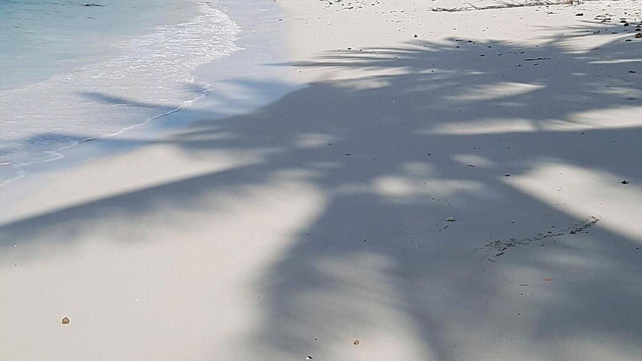 Photo of Others in Sattahip